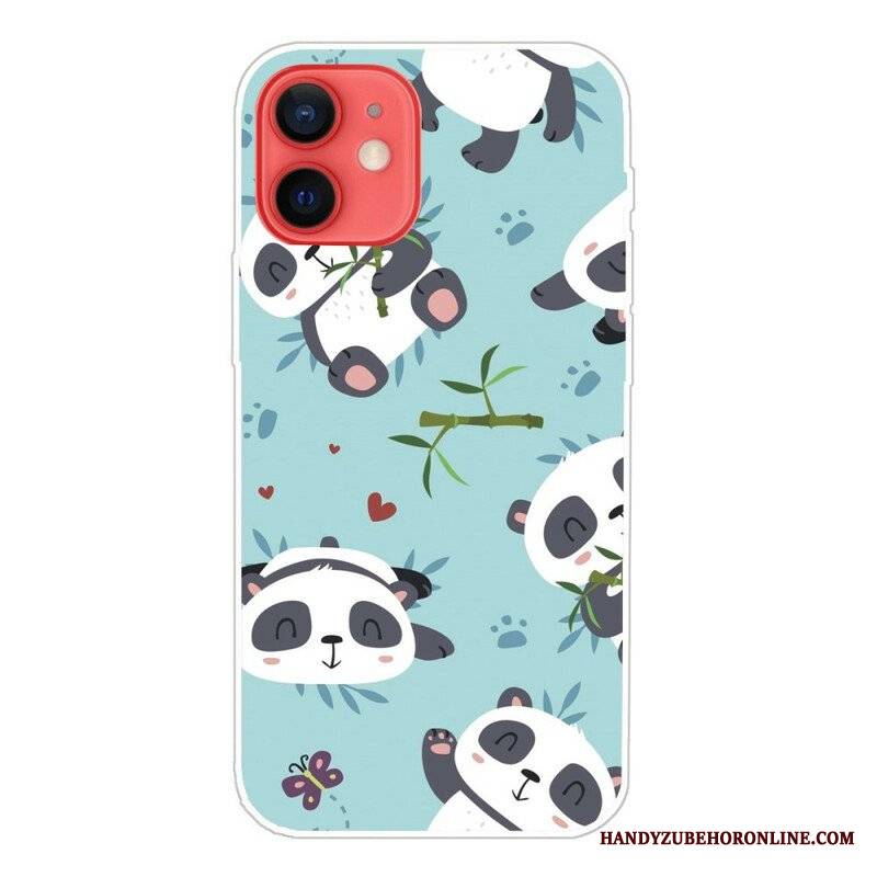 Etui do iPhone 13 Mini Banda Pand