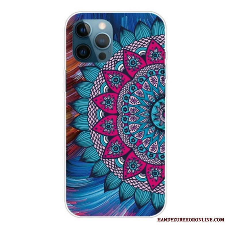 Etui do iPhone 13 Pro Max Kolorowa Mandala